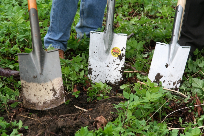 pepiniere-LE REVEST LES EAUX-min_work-lawn-flower-tool-green-backyard-1103633-pxhere.com